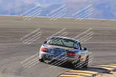 media/Oct-14-2023-Lucky Dog Racing (Sat) [[cef75db616]]/Turn 12 Exit-Bowl Backside (230pm)/